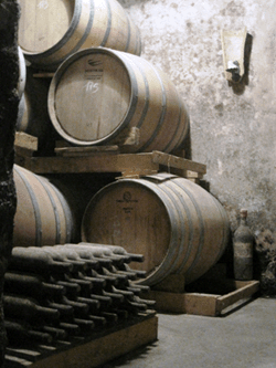 Bottaia della Sociale di San Donaci