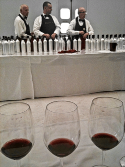 Il servizio AIS nel Palazzo Mostre e Congressi