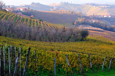 Panorama nell'area del Barbaresco