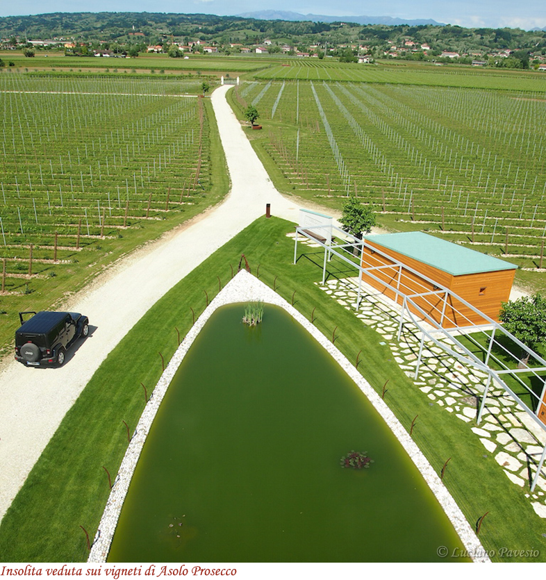 Veduta vigneti Asolo Prosecco