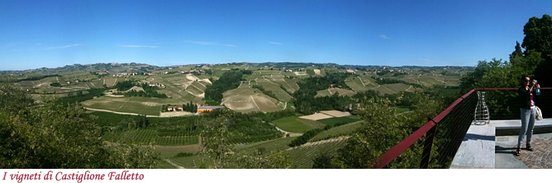 I vigneti di Castiglione Falletto