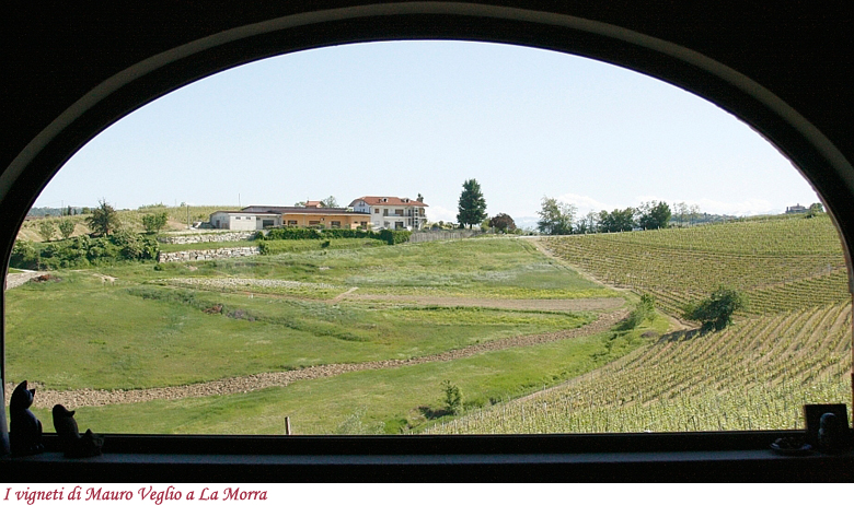 Vigneti visti dll'azienda Mauro Veglio di La Morra