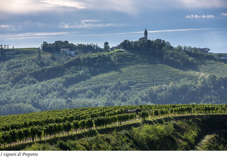 I vigneti di Prepotto