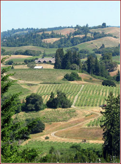 Anderson Valley - Mendocino