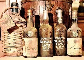 Vecchie bottiglie di Porto