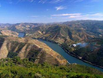 Vigneti nella valle del Douro
