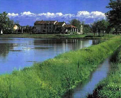 Le risaie in Lomellina