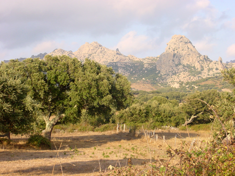 Sardegna