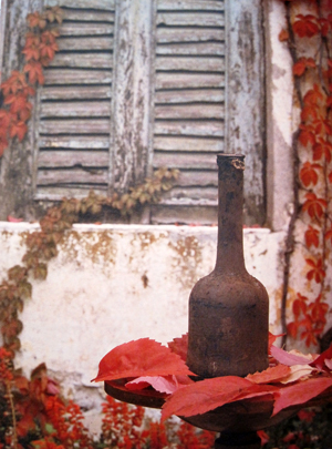 Bottiglia di Vaio Armaron Serego Alighieri (sembra) 1762