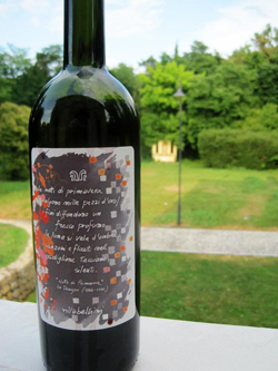 Il Taso di Villa Bellini