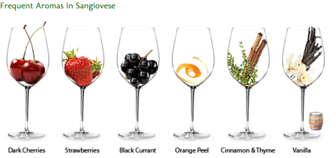 Aromi del sangiovese