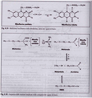 Composti volatili e relativi descrittori