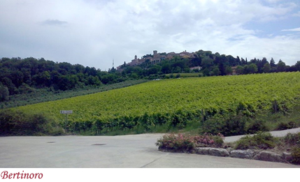 Bertinoro