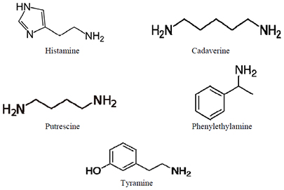 Formula chimica delle diverse ammine biogene