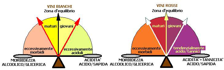 Equilibrio gustativo vini