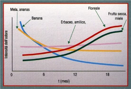 Intensità degli odori