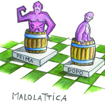 fermentazione malolattica