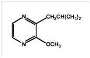 2-metossi-3-isobutilpirazina