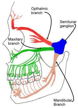 Sensori della percezione