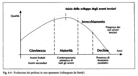 Inizio dello sviluppo degli aromi terziari