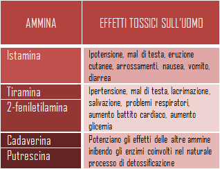 Tabella ammine
