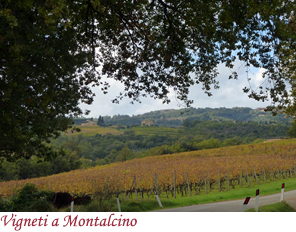 Vigneti a Montalcino