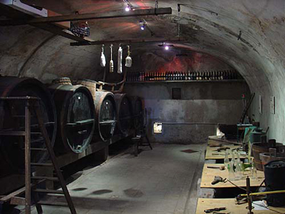Una cantina scavata in un balmetto