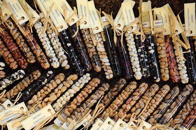 Confezioni di fagioli sardi