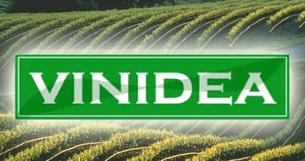 Vinidea