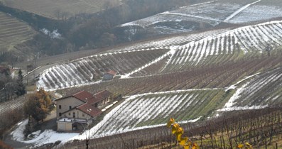 Le Langhe in inverno