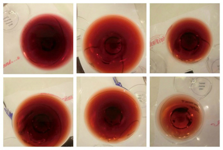 I colori del Taurasi di Mastroberardino