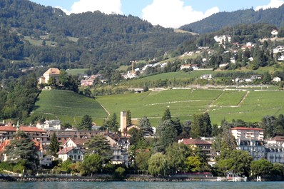 Vigneti a ridosso dell città