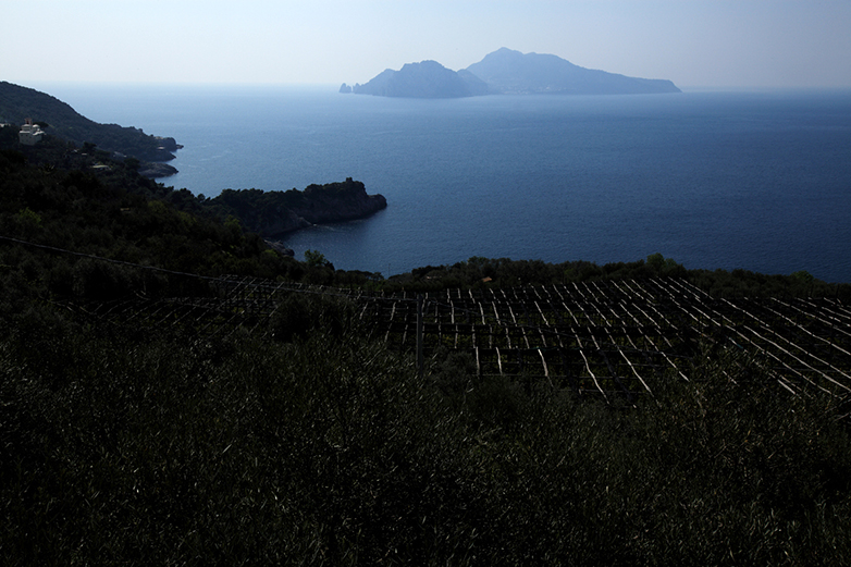 La vista dall'agriturismo Le Tore
