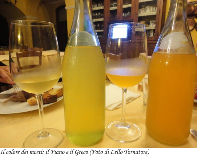 Il colore dei mosti: il Fiano e il Greco (foto di Lello Tornatore)