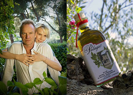 Sting e l'olio del Palagio