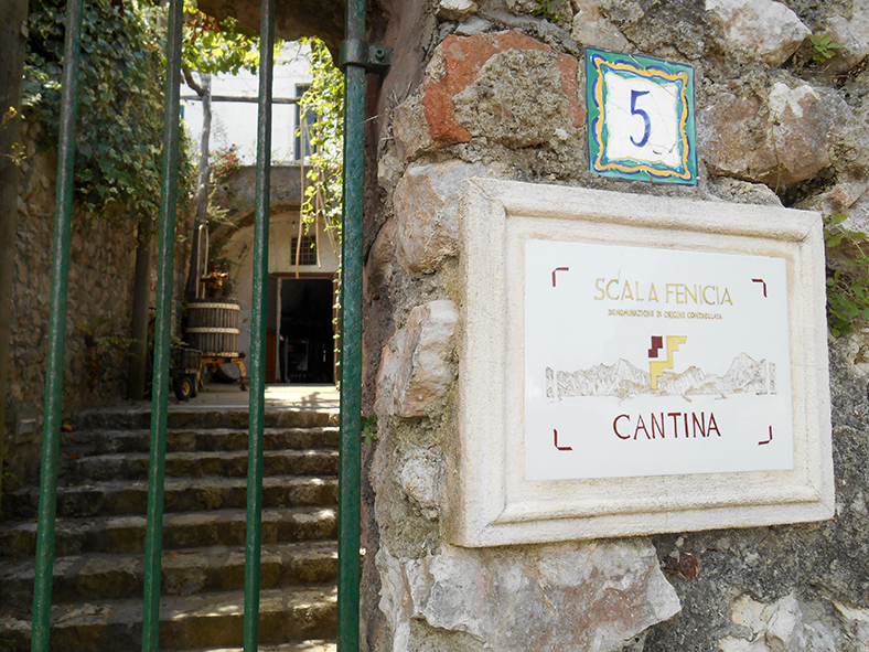 Insegna Scala Fenicia