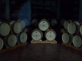 Barricaia del Masseto