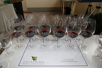 I vini in degustazione