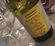 Verdicchio dei Castelli di Jesi Classico Riserva 2009 Stefano Antonucci - Santa Barbara