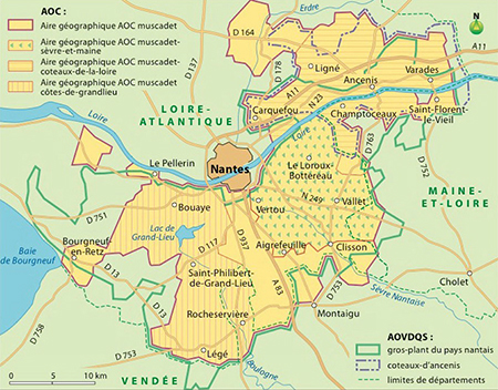 Appellation Muscadet Sèvre et Maine