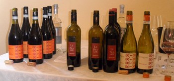 Vini in degustazione