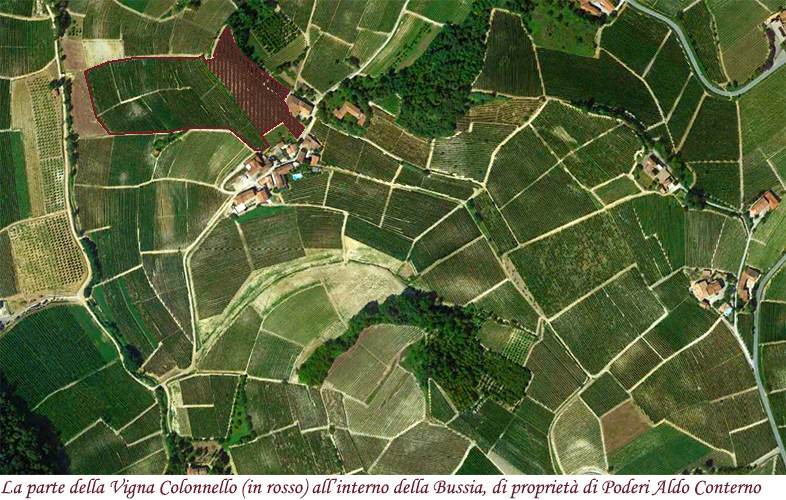 La vigna Colonnello