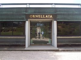 Entrata all'Ornellaia