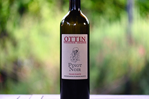 Vallée d'Aoste Pinot Noir 2013 - Ottin