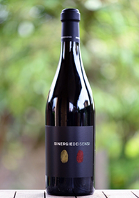 Sinergiedeisensi Primitivo