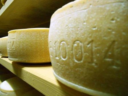 I formaggi in stagionatura