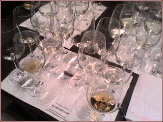 bicchieri per il tasting