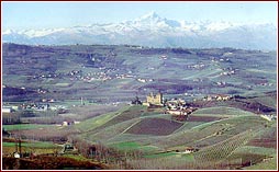 Panorama dei vigneti intorno a Barolo