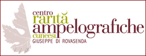 Centro Rarit&agrave; Ampelorafiche Cuneesi Giuseppe di Rovasenda