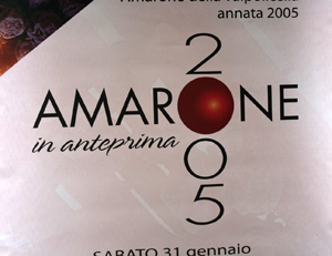 Anteprima Amarone 2005